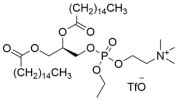 1,2-Dipalmitoyl-sn-glycero-3-ethylphosphocholine trifluoromethanesulfonate DPePC Triflate manufacturers