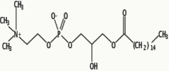 1-Palmitoyl-sn-glycero-3-phosphocholine